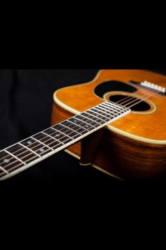 1974 MARTIN D35