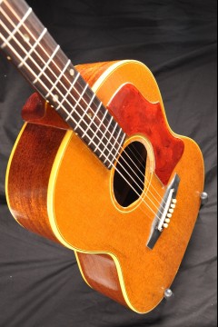 1964 GIBSON B25