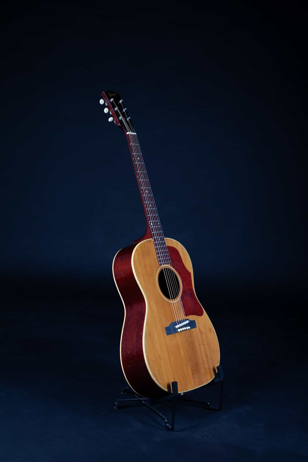 ACOUSTIC Guitars, RNFVG